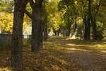 Осень в парке 768x512 