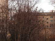 Осенние гроздья воробьёв