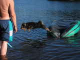 Прыжок в воду see picture dog-v-pryzhke.jpg 640x480 