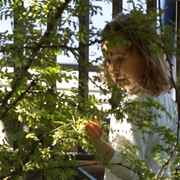 Алиса в зазаборье